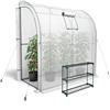 KANWOD RELY ON QUALITY KANWOD Serra a Parete da Giardino con Scaffale, Finestra e 2 Porte Avvolgibili, Invernale, Robusta, Stabile e Facile da Montare, Serra orto per Protezione Piante, Verdure, Fiori 200x100x210 cm