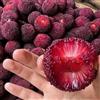 Generic Semi di Myrica rubra,semi di a crescita rapida da giardino resistenti perenni coltivazione di semi 100pcs
