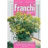 Franchi Sementi Semi Ruta Officinale Franchi Sementi 1g