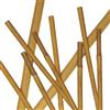 Generico Canne di bambù naturali, per sostegno piante, orto, decorazione e arredamento (25, 150 cm/Ø 18/20 mm)