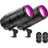 DELIBANG LED Pin Spot Luce 30W 4 in 1 RVBW Beam LED Proiettore 4 modalità Luce da palcoscenico Spot Light con Telecomando per DJ Disco Feste Bars Matrimoni Spettacoli