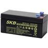 SKB Batteria al Piombo Ricaricabile