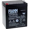Fiamm Batteria Ricaricabile al Piombo 12FGH23 (FGH20502) (Resistente a Corrente Alta)