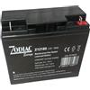 Dimensione Elettronica S.R.L. Batteria al Piombo Ermetica Ricaricabile 12V 18Ah Uso Tampone e Ciclico 181x168x76 Adatta per Luci di Emergenza Sistemi di Allarme Ambito Industriale UPS by Dimensione Elettronica S.R.L.