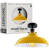 LEDSone Lampada da soffitto retrò vintage con rosone e portalampada in metallo retrò antico Edison E27 IP20 Lampada a vite cablata