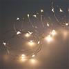 LuminalPark Catena a batteria, 1,9 m, 20 microled bianco caldo, cavo metal