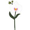 VESTA Bomboniera mini fiore Special Moments - Orchidea - 9,9xH20,4 cm - Cristallo acrilico - Confezionato in borsetta di carta - Idea regalo - Made in Italy