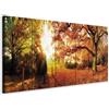 murando - Quadro Paesaggio Bosco Autunno 225x90 cm 5 Pezzi - Stampa su Tela Canvas con Struttura - Quadri Moderni per Soggiorno Grandi - Decorazioni da Parete Arte - Foresta Natura Albero c-B-0287-b-m