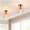 iDEGU 2 Pezzi Plafoniere E27 Vintage Lampada da Soffitto Design Industriale in Forma di Gabbia Esagono 15cm Paralume Matal Oro Rosa Retro Lampadario da Soffitto per Camera da Letto, Cucina, Corridoio