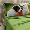 PETTI Artigiani Italiani - Lenzuola Animali con Gatti e Cani in Cotone con Federe in Stampa Digitale, Lenzuola Matrimoniali, Completo Letto Matrimoniale Verde, 100% Made in Italy