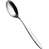 Salvinelli Fast Set Cucchiai Frutta Acciaio Inox 18/10, Cucchiaio da Frutta 12 Pezzi, Spessore 2,5 mm, Made in Italy, Finitura lucida