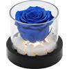 Passionefiori.it Premium-rose.com Rosa stabilizzata, Rosa stabilizzata con led, Rosa eterna, Box tondo con luci, Idea Regalo Unica e Raffinata, Idea Regalo per lei, Made in Italy (Blu)
