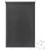 Froadp 140x240cm Tenda a Rullo Esterna, Tenda Avvolgibile Oscurante con Morsetti e Catenella, Privacy Tenda Riflettente con Funzione Termica, Protezione Solare Tenda per Finestre e Porte(Antracite)