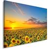 Feeby Frames Feeby Quadro su Tela Fiori Girasole 50x40 cm 1 pezzo Stampa Murale Fotografia Decorazione da parete Immagini Moderni per Soggiorno Camera da Letto Ufficio Cucina Cielo Natura Paesaggio Giallo