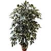 MY GARDEN - FIORI E PIANTE ARTIFICIALI Pianta Artificiale per Interno o Esterno, Pianta Ficus Benjamin Artificiale Decorativa, Pianta Finta Soggiorno Camera Cucina Salotto Ufficio