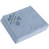 Vileda Professionale NanoTech micro panni (confezione da 5 pezzi) Blu - Effetto antibatterico (128601)