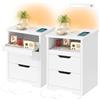 TEENFON Set di 2 Comodini con Camera da Letto con Luci LED 3 Colori, Ricarica Rapida USB/Type-C, Comodino Moderno con Vassoio Estraibile e 2 Cassetti, Bianco
