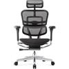 PROCOMFORT ERGOHUMAN Elite Evolution con Sedile Imbottito Poltrona ergonomica su Ruote di Ultima Generazione con regolazioni avanzate per Il settaggio della Postura più Confortevole