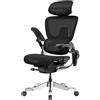 HINOMI H2 Pro Sedia da Ufficio Ergonomica con Supporto Lombare, Braccioli regolabili & 3D Poggiatesta Regolabili, 150kg, Sedia Girevole per Scrivania, Sedia per Ufficio & Gaming (Nero)