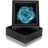 Aluisi Fiori Rosa Stabilizzata Tiffany in Cofanetto Nero - Rosa Stabilizzata Vera - Rosa Eterna - Fiore Stabilizzato - Fiori Stabilizzati - Simbolo di Manifestazione e Attesa - Idea Regalo