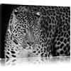 Pixxprint Magnifico leopardoo Stampa su Tela 80x60 cm Artistica murale