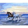 ZQMHCY Diamond Painting Kit 5D Cavallo Quadri con Perline Adulti Diamond Painting Kit 5D Full Bambini Diamond Painting Grandi Dimensioni Decorazione da Parete 30x40cm