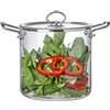Sonhomay Pentola in vetro trasparente con coperchio, 5,5 l, resistente al calore, con manici in acciaio inox, pentola per cuocere a fuoco lento per pasta, pasta, zuppa, latte, 30,5 x 20,3 cm