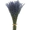 CoolCrafts Lavanda Essiccata Fiori Secchi - Fasci di Lavanda per Decorazioni - 400 Steli