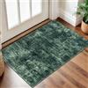IOHOUZE Piccolo Tappeto Astratto 61x91 cm Tappeto per Ingresso Lavabile Zerbino per Interni, Tappeto Morbido con Retro in Gomma, Tappeto Stampato in Finta Lana Antiscivolo per Ingresso, Porta