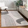 Paco Home Tappeto Soggiorno Camera da letto moderno a pelo corto lucido motivo palma disegno floreale geometrico effetto alto-basso 3D, Dimensione:120x160 cm, Colore:Grigio 4