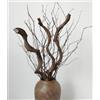 DongArts Rami di salice secchi spessi e ricci, in rattan, rampicanti flessibili, 43,2-56 cm, lunghi bastoncini di legno riccio con rami di betulla, ramoscelli per fai da te, artigianato, matrimonio, giardino