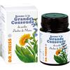 Dr.Theiss Dr Theiss baume a la grande consoude 100 ml