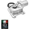Dieffematic MOTORE CROMO 230V 220V ATTUATORE INTERRATO INCASSATO PER CANCELLO BATTENTE