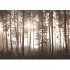 Runa Art Carta da parati fotografica Uccelli Foresta NEBBIA 352 x 250 cm Vello Sfondo Murale XXL Moderne Decorazione Soggiorno Camera De Letto Sala Ufficio Marrone 9326011b