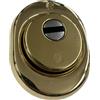 SECUREMME KIT COMPLETO DI PROTECTOR FORTEZZA - DEFENDER diametro 50mm interasse 38 con cover e piastrina antistrappo 60 HRC resistente al trapano (D.50 x h15 mm, ottone lucido)