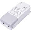 King Led Kingled - Alimentatore 25W DC 12V 2.08A per Strisce Led - Trasformatore Dimmerabile - DIMM12-25 TRIAC