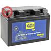 Magneti Marelli Batteria MOTZ14S Sigillata Precaricata