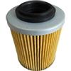 SMJDPIWRO Filtro olio motore originale for MOTO ATV 450CC 550CC 800CC 1000CC Ricambi 0800-011300-0004 08000113000004