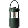 Pure 252584 altoparlante portatile e per feste Verde 20 W