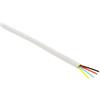 InLine Cavo Modulare 4 fili Piatto, 100m, bianco, Telefonico, Isdn