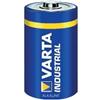 Varta 04020211111 Batteria monouso D Alcalino