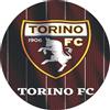 Tortaprint Cialda per torta tema CALCIO ( T O R I N O ) decorazione in ostia personalizzata rotonda IMG 3