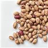 Il Contadino - Antichi Sapori FAGIOLI BORLOTTI ITALIA | Il Contadino | Legumi Secchi (20 Kg)