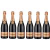 Ferrari Rosé Metodo Classico Trentodoc [ 6 Bottiglie x 750ml ]