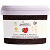 Dolcincasa.com Dolcincasa-Pasta Gelato ai Lamponi al Naturale Prodotti per Gelato Artigianale Senza Glutine 200g
