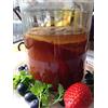 GEORGIA'S FINEST 1x Organic Kombucha Scoby - Live Cultures by Georgia's Finest