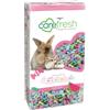 carefresh Biancheria da letto per piccoli animali domestici in carta naturale 99% senza polvere, con controllo degli odori, 10 l