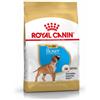 Royal Canin C-08932 S.H. Nut Boxer Junior - 3 kg