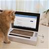 BLOSSOMLIFE Relatable - Tiragraffi interattivo per gatti, in cartone, per laptop, gatti e gatti