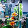 Okllen Acquario sospeso in acrilico a pressione negativa, ricarica automatica con ascensore per pesci, mantenimento del livello dell'acqua e vista a 360°, serbatoio sospeso esterno salvaspazio per
